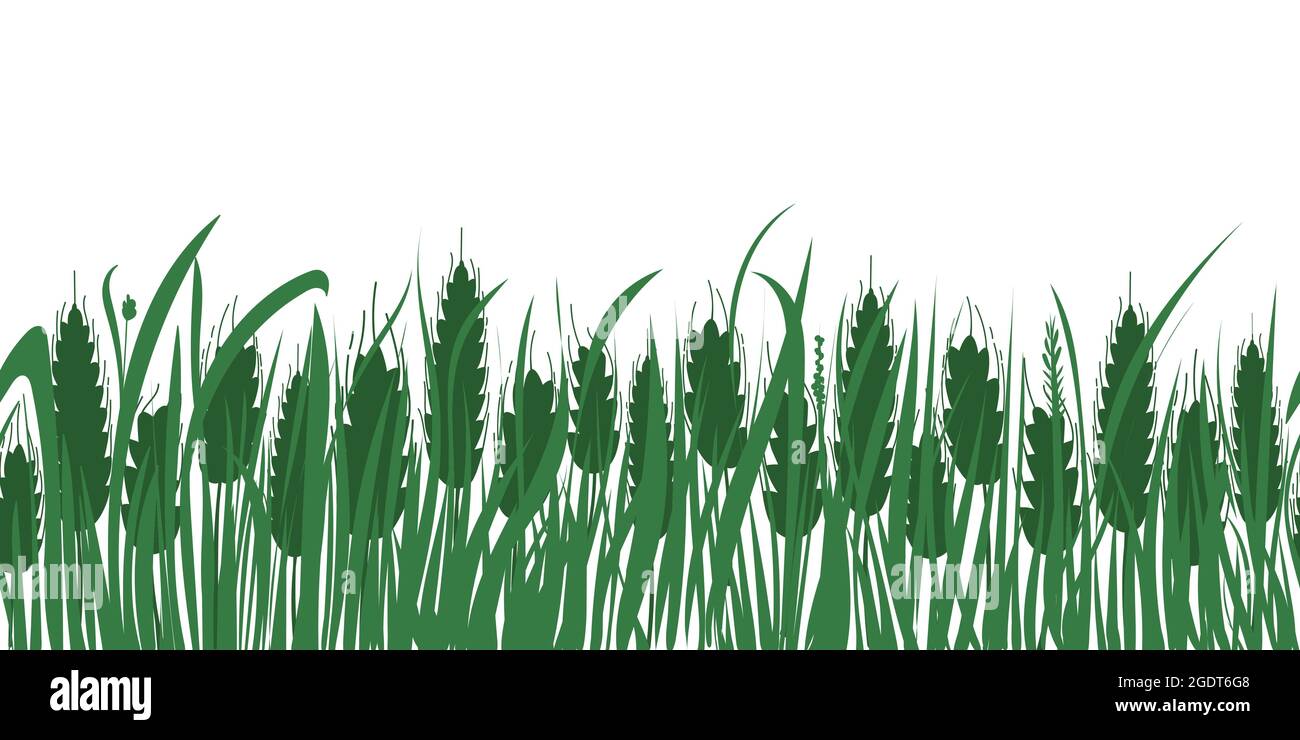 Champ de blé et d'herbe. Répétition horizontale de la bordure sans fin. Silhouettes à épelettes sur fond blanc. Illustration vectorielle isolée pour ferme, boulangerie Illustration de Vecteur