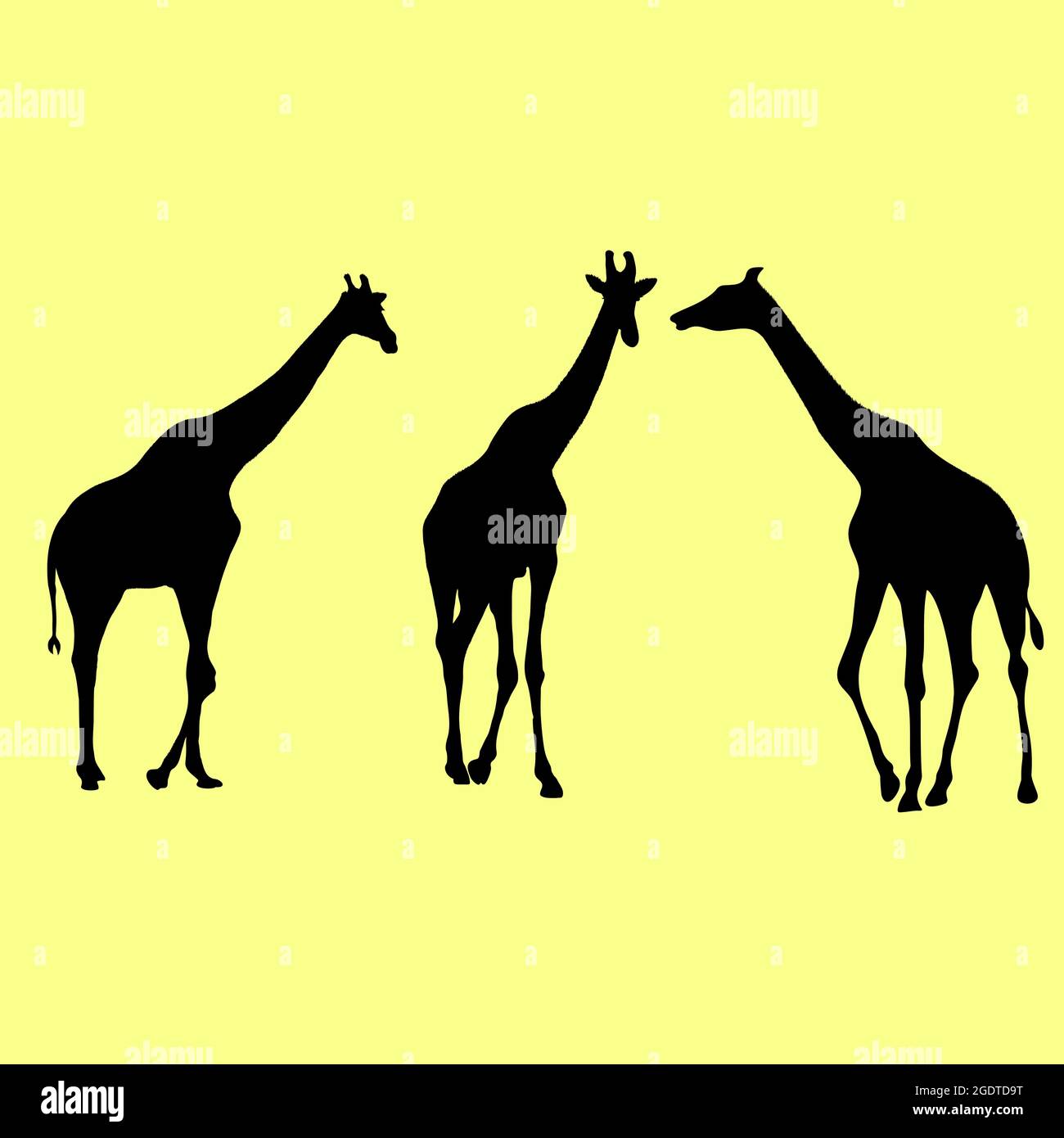 Formes de silhouettes girafe sur fond blanc illustrations vectorielles isolées sur fond jaune Illustration de Vecteur