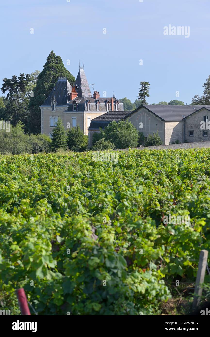 Domaine Albert Morot avec le vignoble du Clos les Teurons de l'Hospice de Beaune, Beaune FR Banque D'Images Domaine Albert Morot avec le vignoble du Clos les Teurons de l'Hospice de Beaune, Beaune FR Banque D'Images