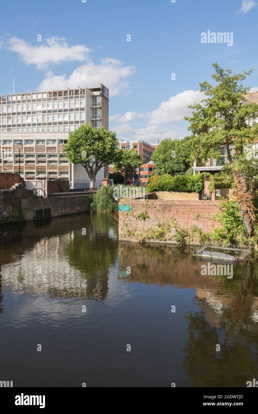Réserve naturelle de Swanbank Drawdock, Carrara Wharf, Ranelagh Gardens, Fulham, Londres, SW6, Angleterre, Royaume-Uni Banque D'Images