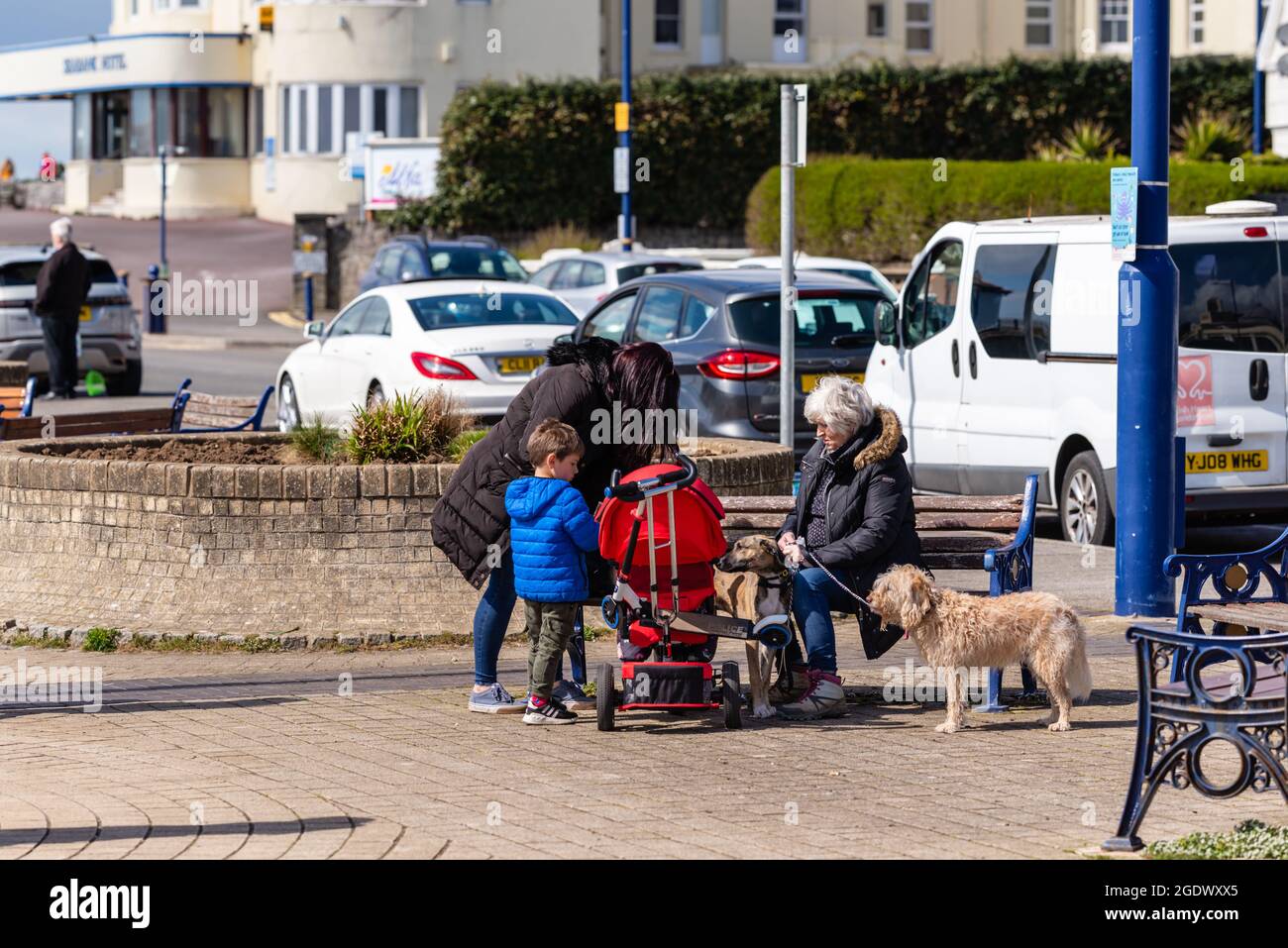 Les femmes plus âgées et plus jeunes avec des jeunes enfants chiens et poussette avec la femme plus âgée s'assit sur un banc. Banque D'Images