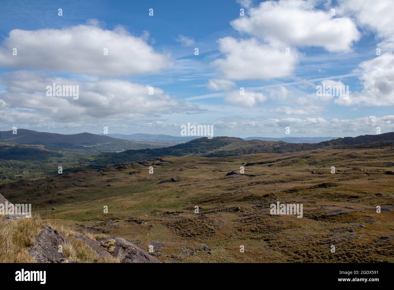 Randonnée dans les collines sauvages de la campagne irlandaise par un après-midi calme et agréable Banque D'Images