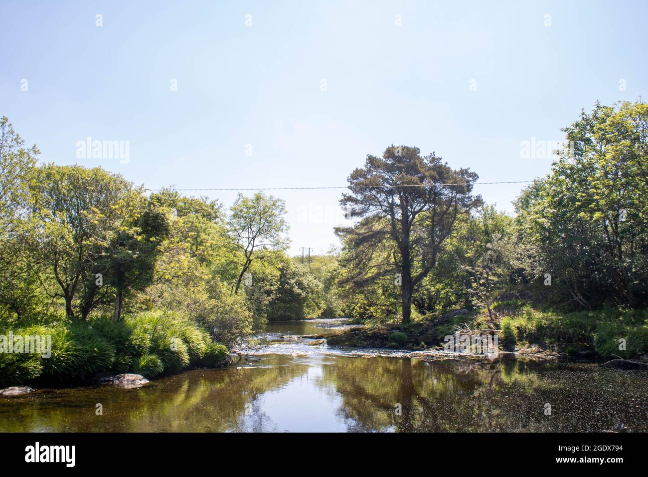 Un ruisseau qui coule doucement un après-midi de printemps, avec du soleil et des arbres sur la côte ouest de l'Irlande Banque D'Images