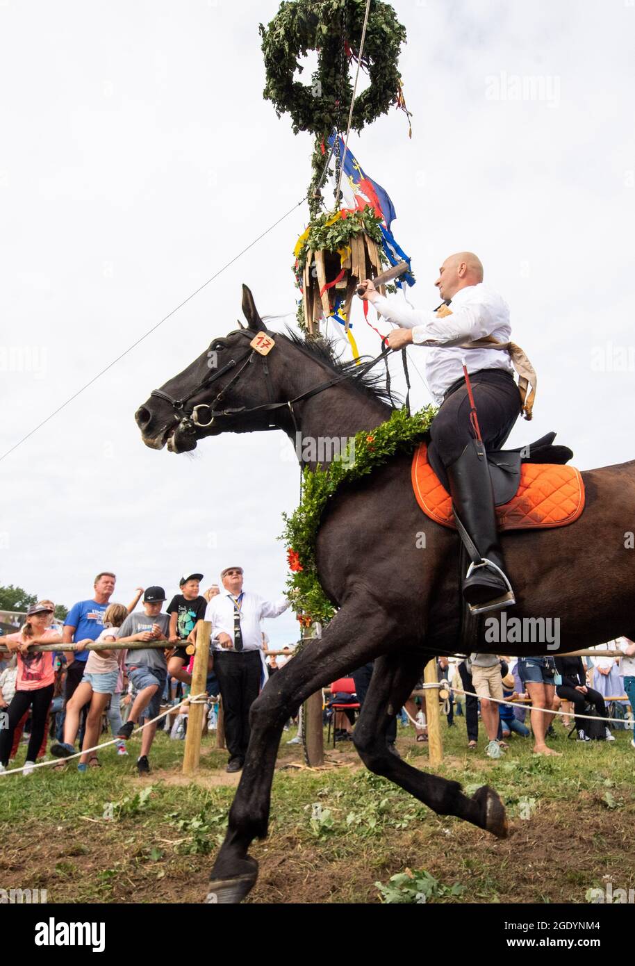 Ahrenshoop, Allemagne. 15 août 2021. Le « roi du canon » 2021, Alexander Kluge de Wustrow, passe sous le canon en bois et frappe un morceau de bois pendant la coupe traditionnelle du canon. La fête du tonneau est une ancienne coutume dans laquelle les cavaliers concourent à un galop et avec un club dans leurs mains. Credit: Stefan Sauer/dpa/ZB/dpa/Alay Live News Banque D'Images