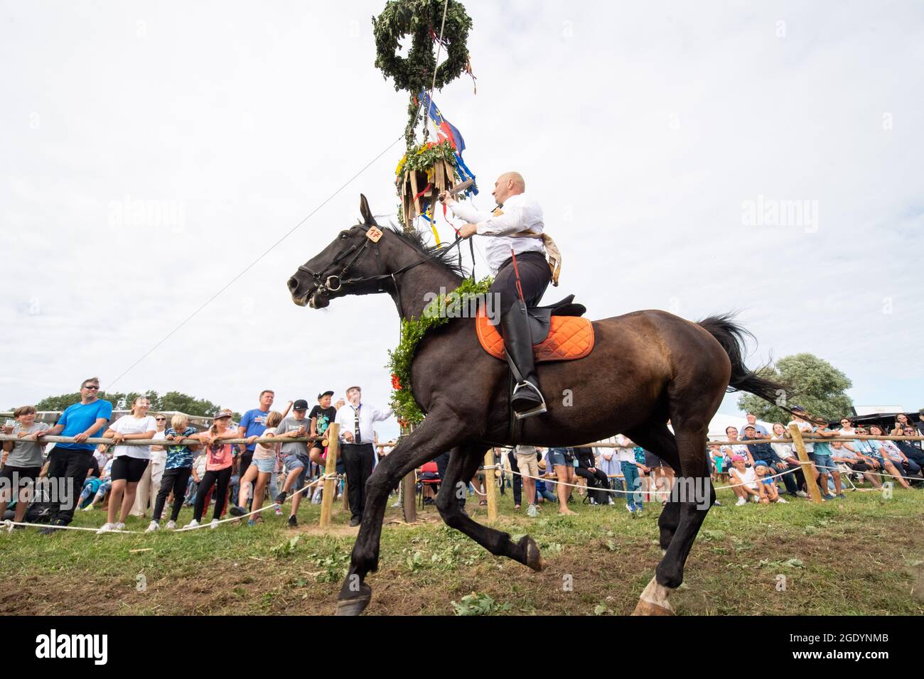 Ahrenshoop, Allemagne. 15 août 2021. Le « roi du canon » 2021, Alexander Kluge de Wustrow, passe sous le canon en bois et frappe un morceau de bois pendant la coupe traditionnelle du canon. La fête du tonneau est une ancienne coutume dans laquelle les cavaliers concourent à un galop et avec un club dans leurs mains. Credit: Stefan Sauer/dpa/ZB/dpa/Alay Live News Banque D'Images
