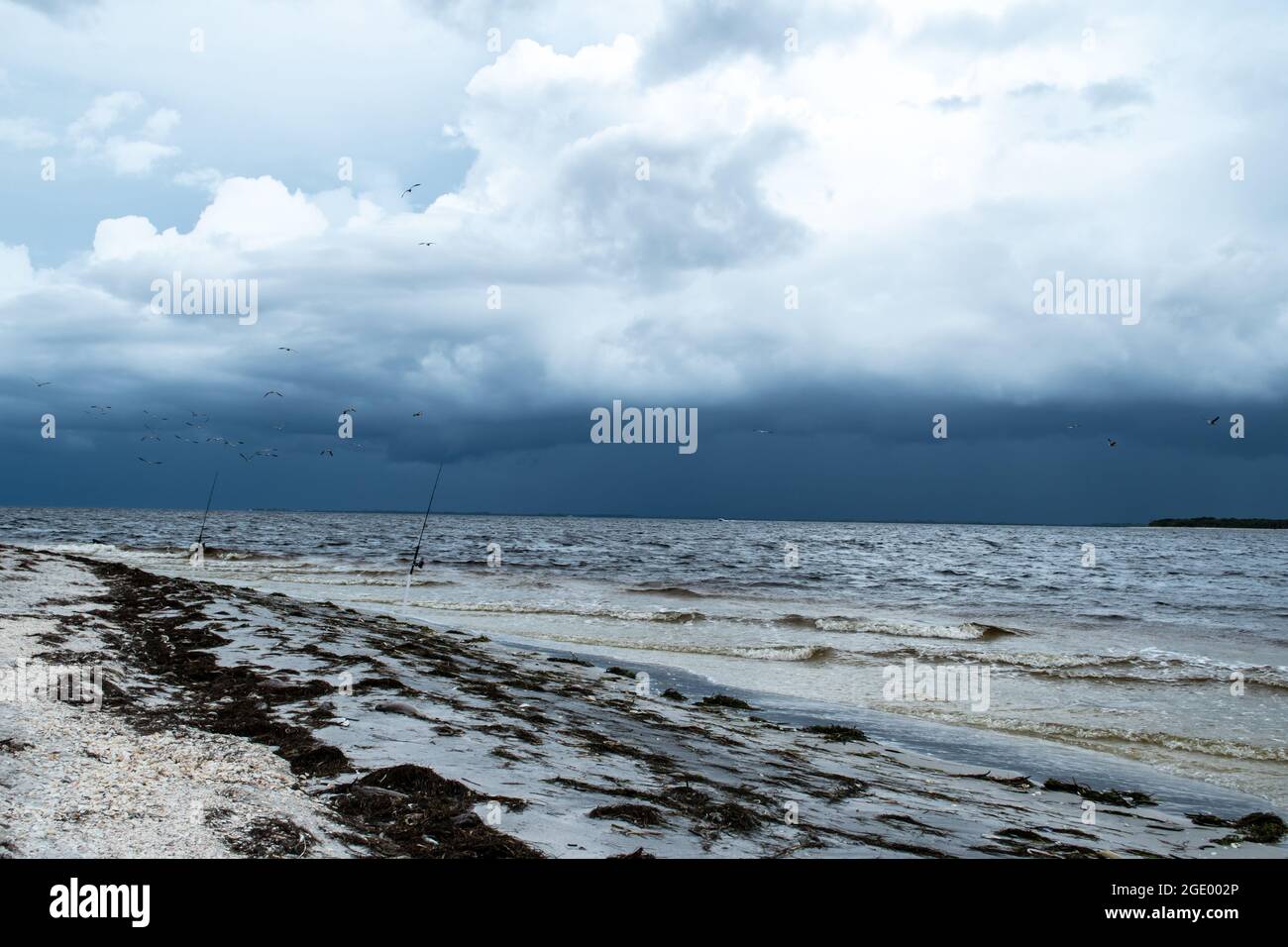 Le phare et le musée de Port Boca Grande sur l'île de Gasparilla comme une tempête tropicale avec des nuages noirs menace au large de la côte dans le golfe du Mexique Banque D'Images Le phare et le musée de Port Boca Grande sur l'île de Gasparilla comme une tempête tropicale avec des nuages noirs menace au large de la côte dans le golfe du Mexique Banque D'Images
