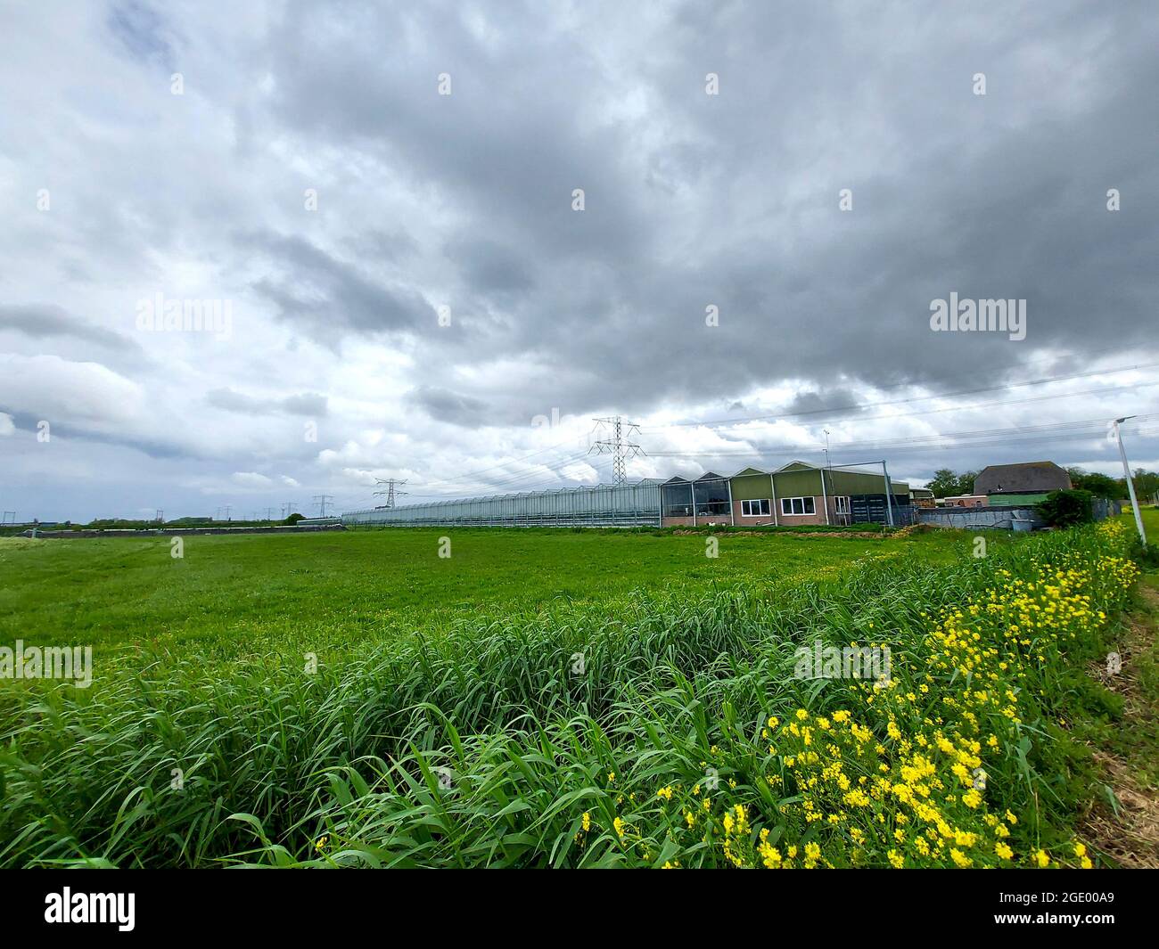 Nuages sombres au-dessus du Groene Zoom entre Capelle et Nieuwerkerk avec herbe, serre abondée et animaux aux pays-Bas Banque D'Images