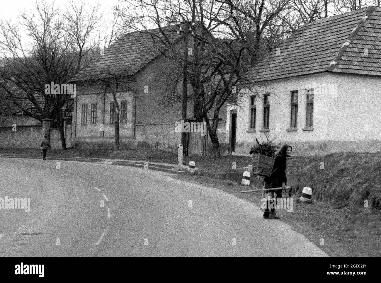 Vieille dame collectant du bois dans un village près de Budapest, Hongrie 1956 Banque D'Images