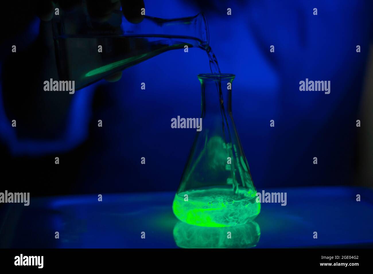 Un scientifique travaillant avec une solution fluorescente verte dans une fiole conique en verre dans un laboratoire biomédical sombre pour le développement de médicaments Banque D'Images