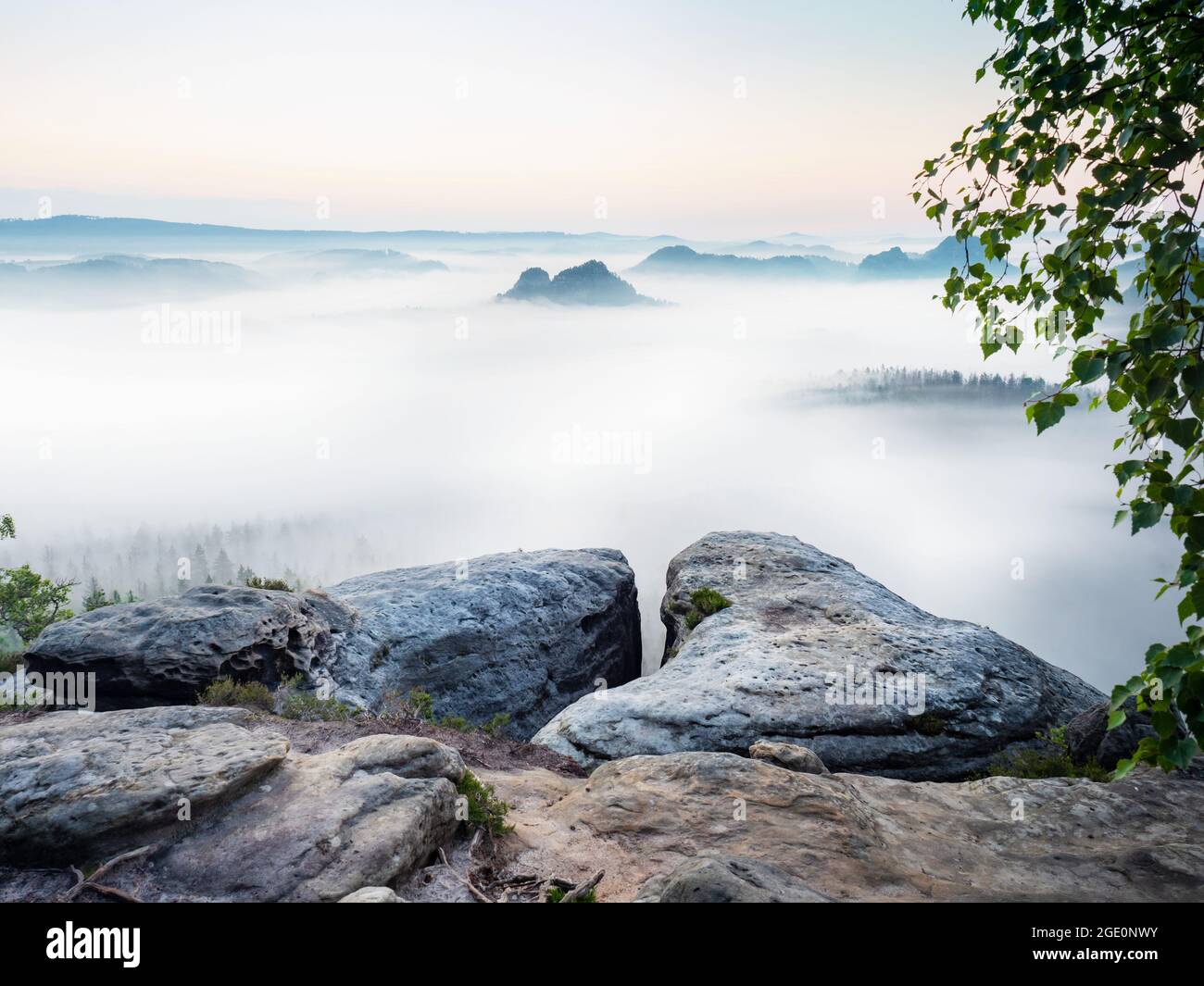 Fantastique lever de soleil rêveur au sommet de la montagne rocheuse avec vue sur la vallée de Grosser Zschand pleine de brume crémeuse. Vue sur la montagne. Parc de montagne brumeux. Rêve Banque D'Images