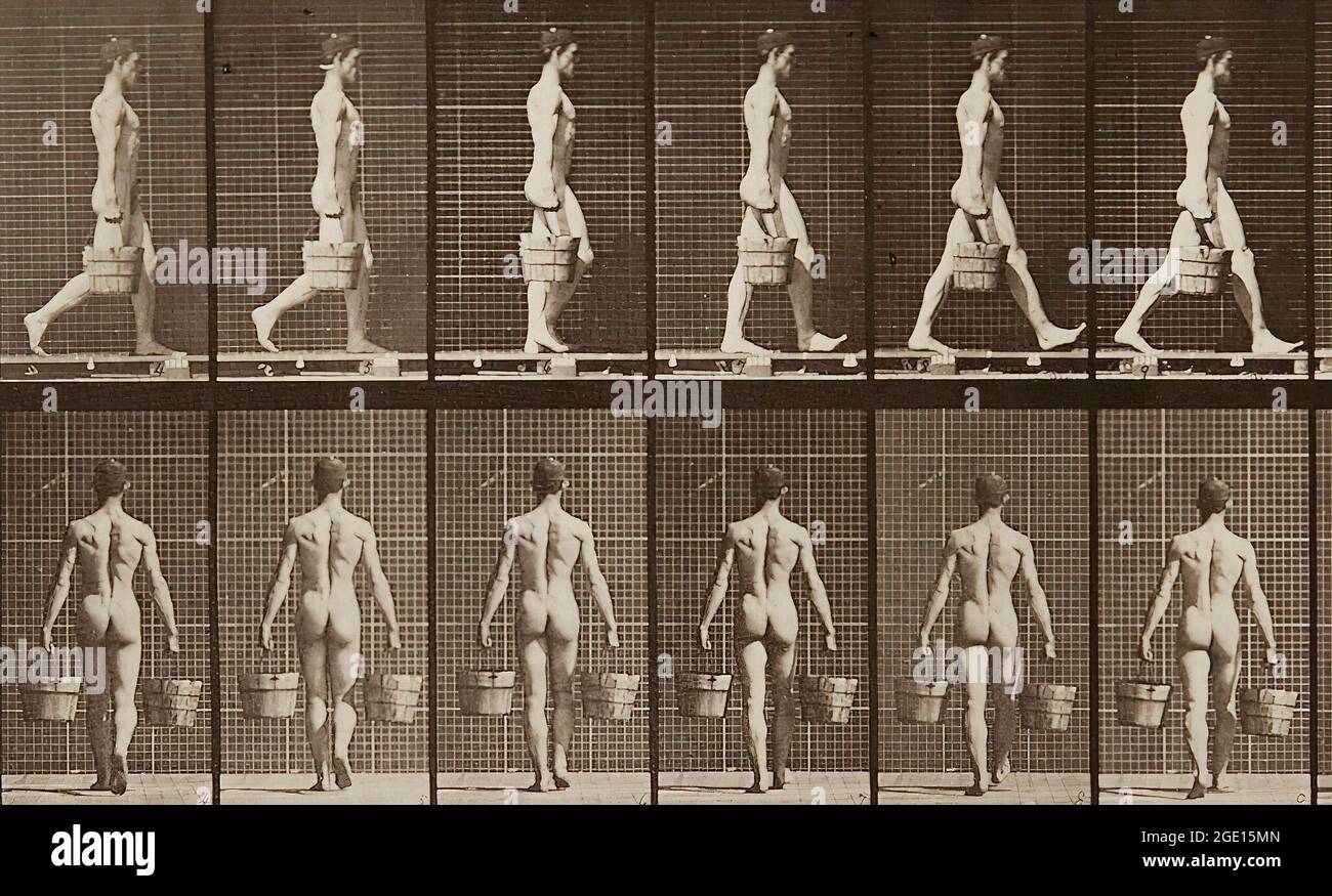 Locomotion animale (planche 29) artiste: Eadlaund J. Muybridge artiste Bio: British, 1830 - 1904 Date de création: c. 1887 processus : collotype Banque D'Images
