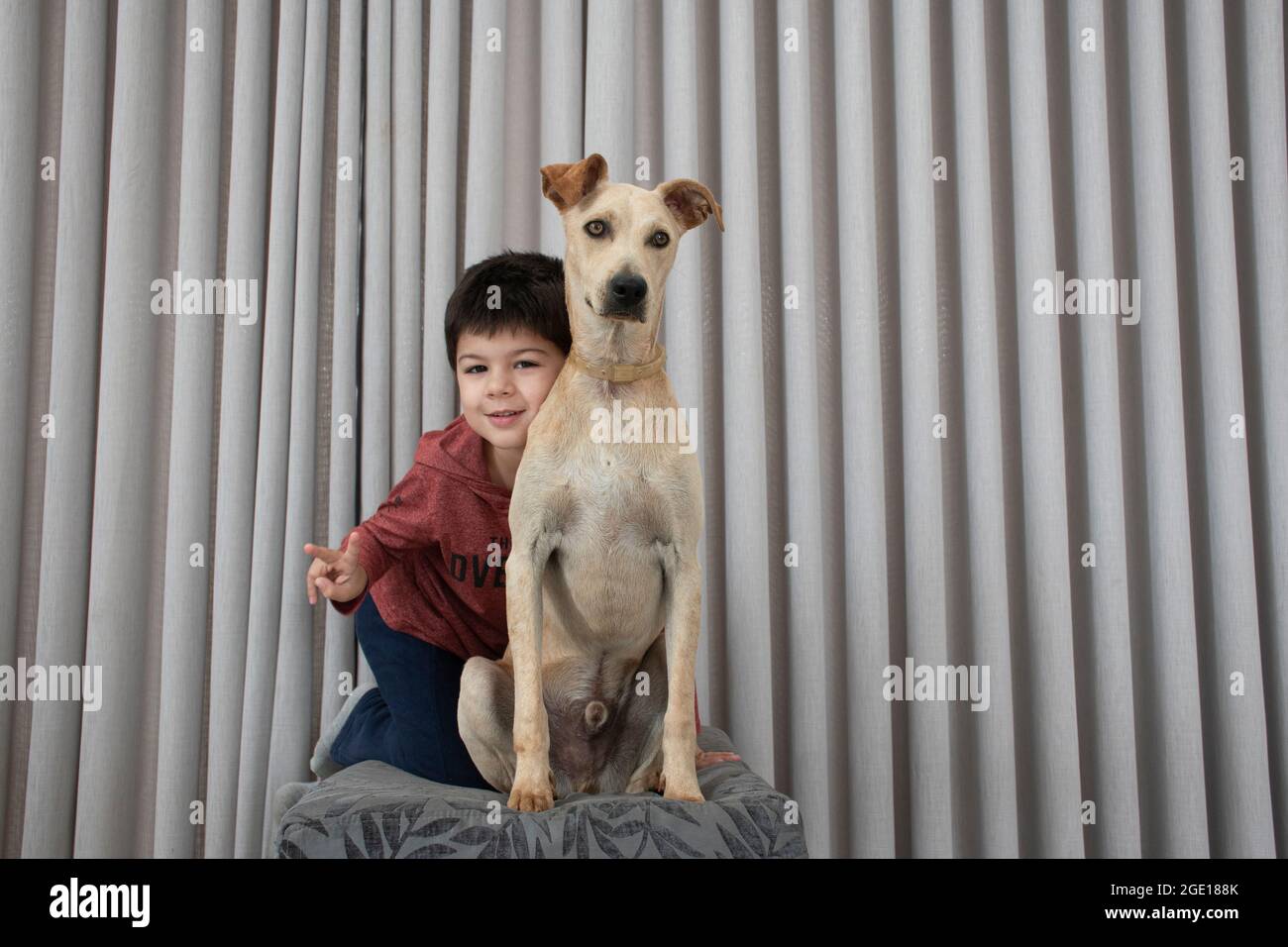 Garçon et chien ensemble sur un pouf dans le salon d'une maison moderne. Enfant partenaire de votre meilleur animal de compagnie ami. Banque D'Images