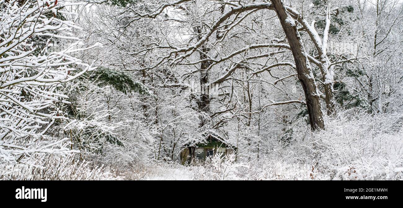 Une petite cabine a l'air magnifique alors que les bois autour de lui sont glacés dans une givette de neige blanche, ce qui fait qu'il ressemble à un pays émergeant Banque D'Images