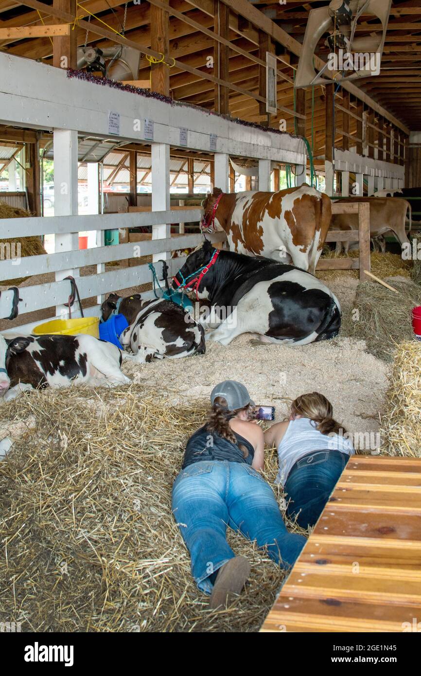 South Bend AUX États-Unis le 10 2021 juillet; deux adolescents se détendent avec leur téléphone cellulaire comme ils se trouvent dans la paille avec leurs vaches à la foire du comté Banque D'Images