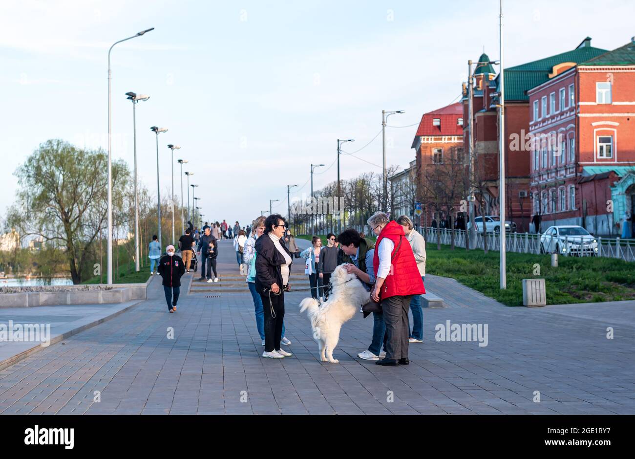 Des femmes âgées amies marchent avec le chien laika blanc sur le remblai Banque D'Images