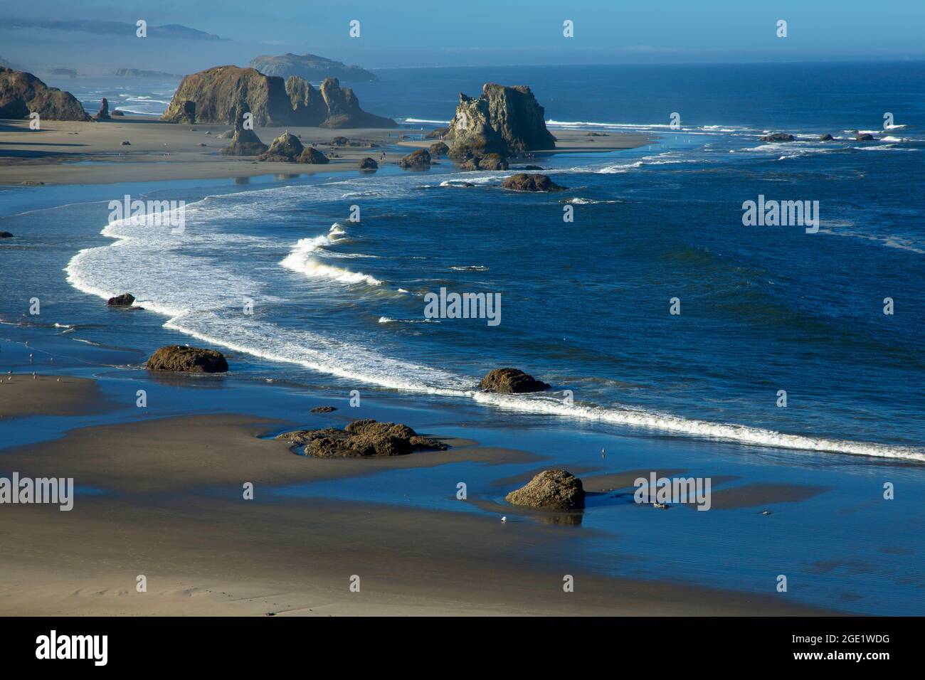 Vue sur la plage au sud depuis Coquille point, Oregon Islands National Wildlife refuge-Coquille point Unit, Bandon, Oregon Banque D'Images