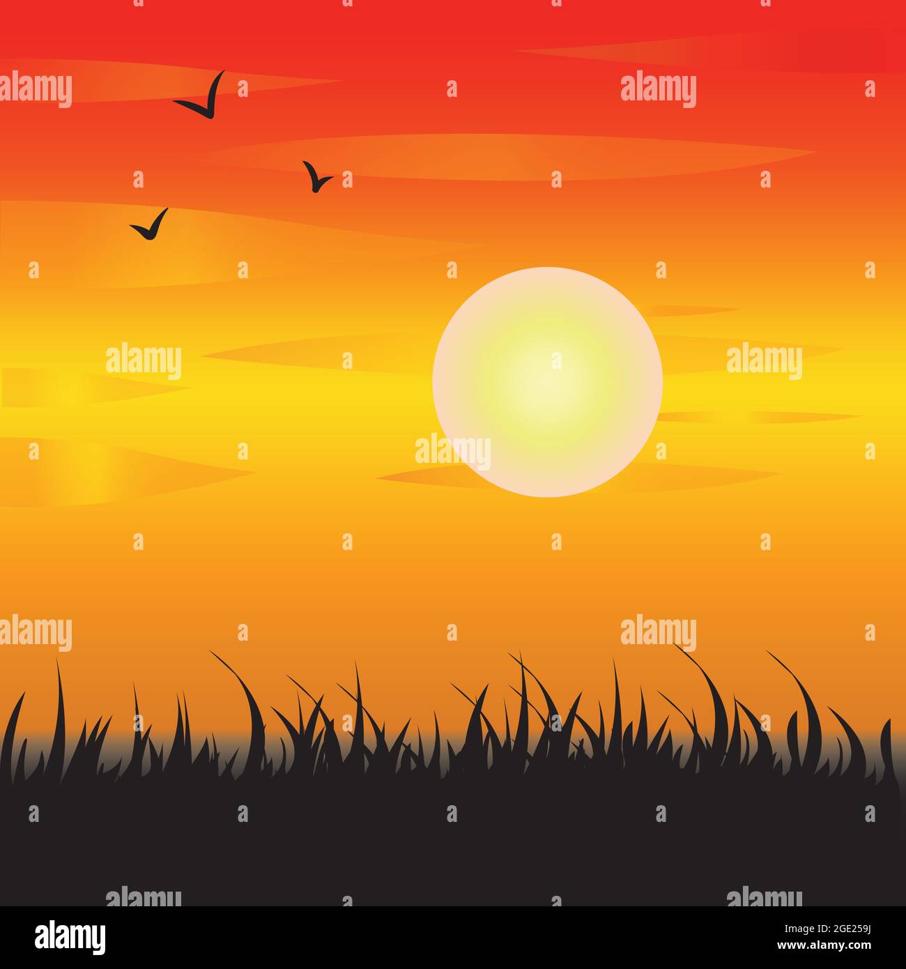Magnifique coucher de soleil avec herbe et oiseaux volants. Incroyable vecteur de paysage. Illustration de Vecteur