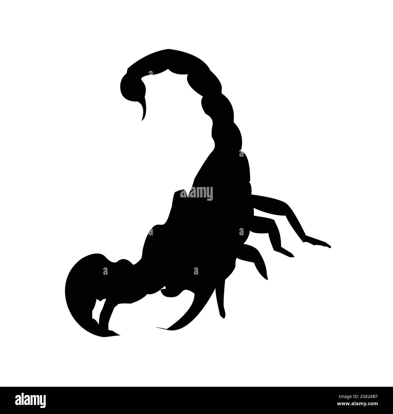 Silhouette d'insecte Scorpion isolée sur fond blanc. Illustration de Vecteur