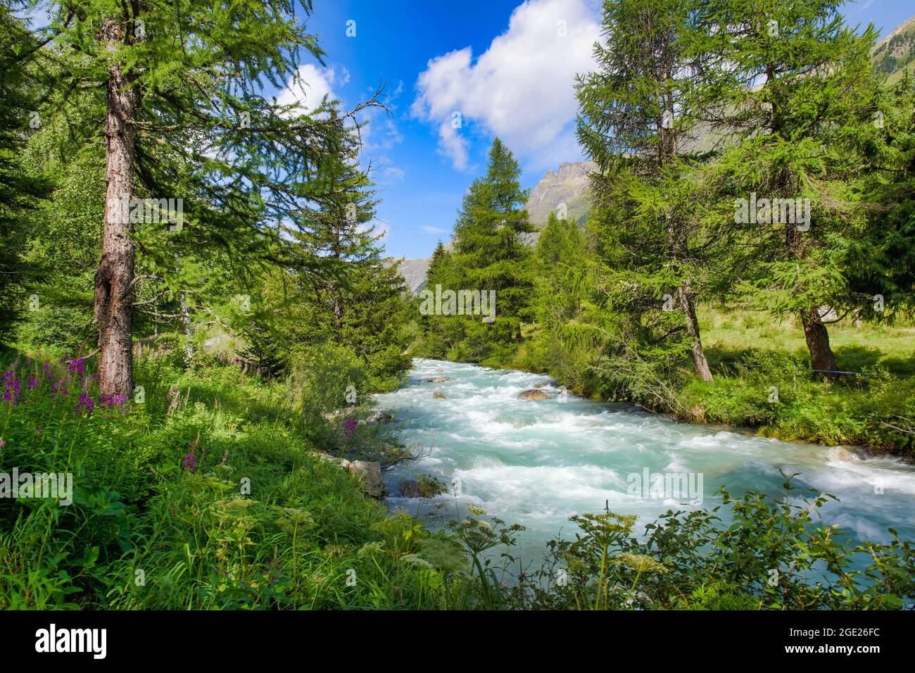 Rivière alpine pleine d'eau sur les Alpes suisses Banque D'Images