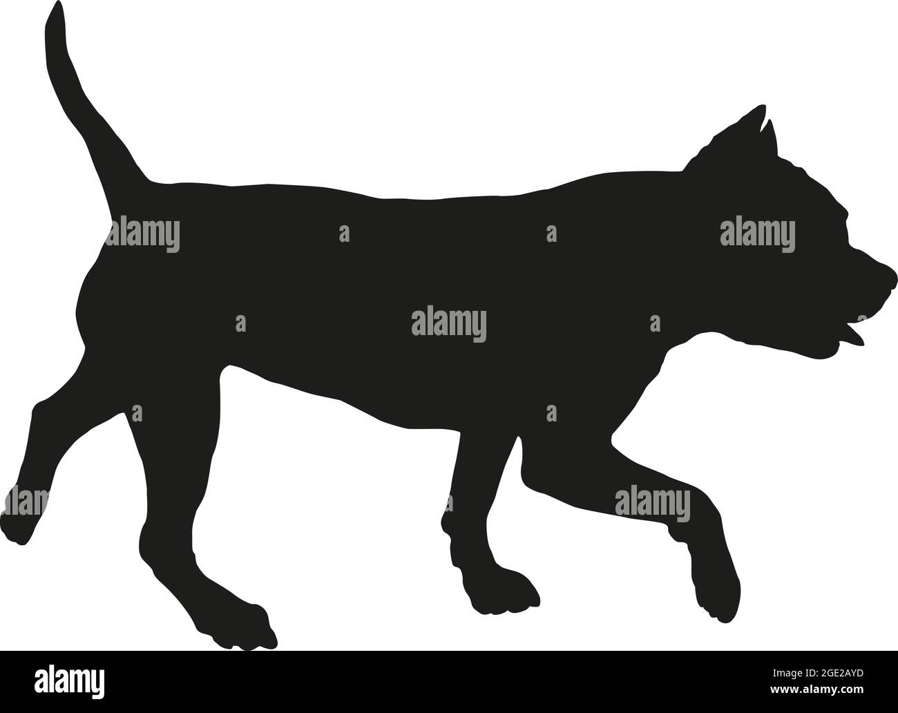 Chien de boux américain. Silhouette de chien noire. Animaux de compagnie. Isolé sur un fond blanc. Illustration vectorielle. Illustration de Vecteur
