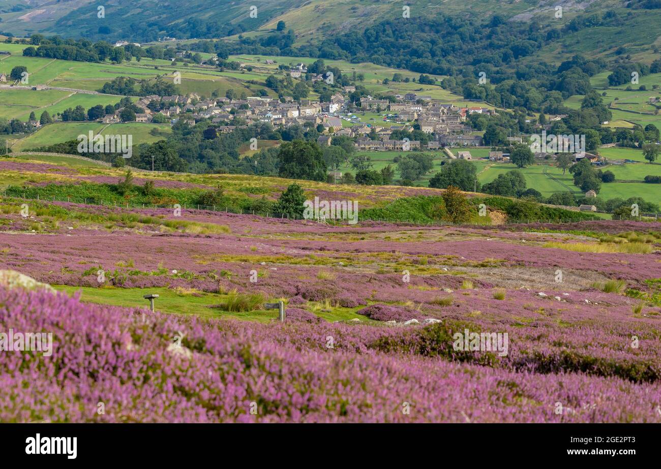 Le village de Reeth à Swaledale, Yorkshire Dales, Royaume-Uni, le 12 août, également connu sous le nom de la glorieuse 12ème lorsque la bruyère pourpre ion la gélinotte amarre Banque D'Images