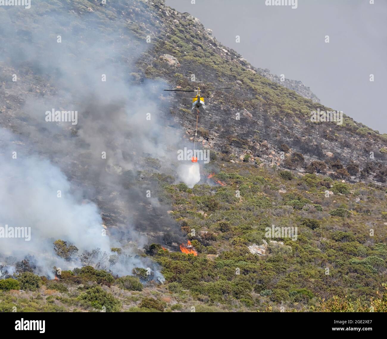 Un hélicoptère de lutte contre l'incendie qui larde de l'eau sur un feu de fynbos dans le Cap occidental, en Afrique du Sud Banque D'Images