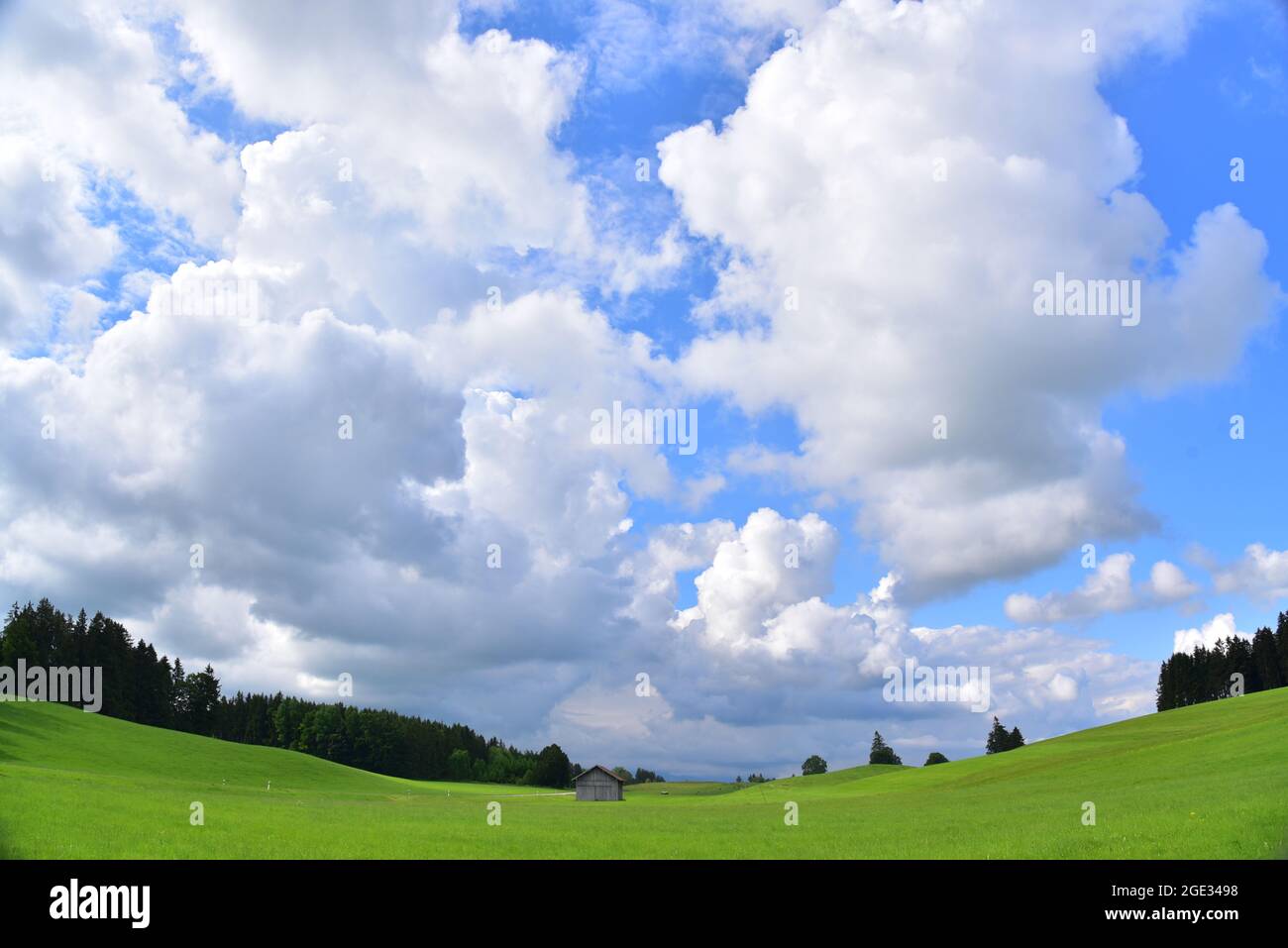 Paysage de prairie au printemps à Unterallgäu, Swabia, Bavière, Allemagne, Europe Banque D'Images