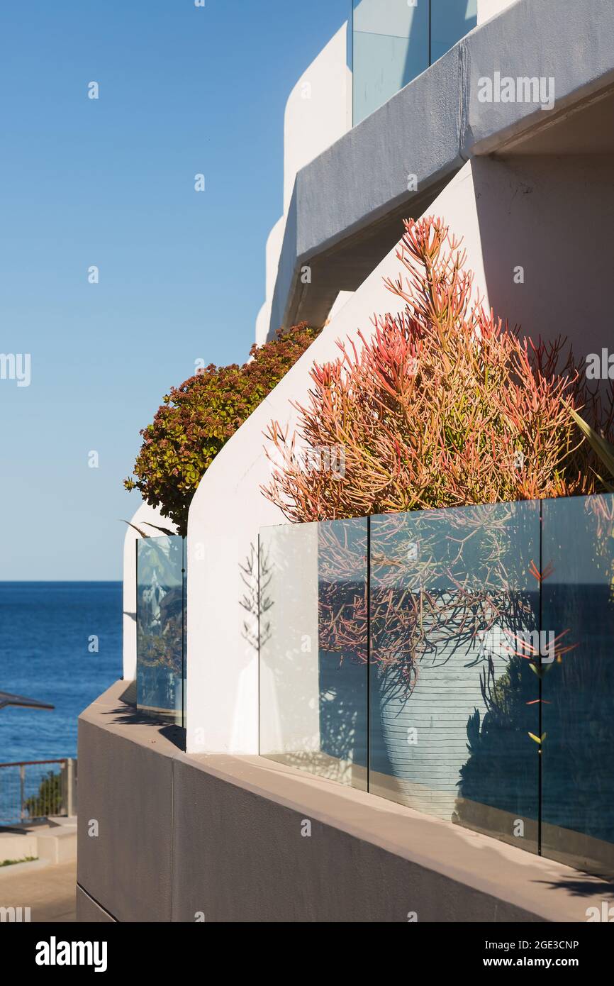 Sydney, Australie. Lundi 16 août 2021. Appartements de luxe donnant sur Bondi Beach et présentant des plantes exquises sur le balcon. Les restrictions COVID-19 ont été renforcées dans toute la Nouvelle-Galles du Sud. À partir de minuit le lundi 16 août, la règle de voyage de 10 km a été réduite à 5 km. Cela signifie que les résidents ne peuvent parcourir que 5 km de leur maison pour faire de l'exercice ou faire du shopping. Crédit : Paul Lovelace/Alamy Live News Banque D'Images