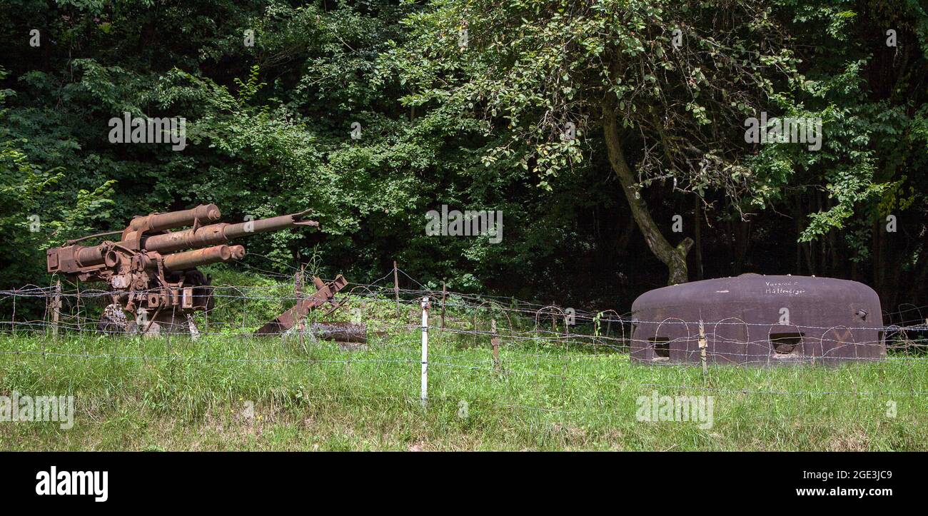 Cannon et Bunker à Siegfried Line, Pirmasens, Rhénanie-Palatinat, Allemagne Banque D'Images