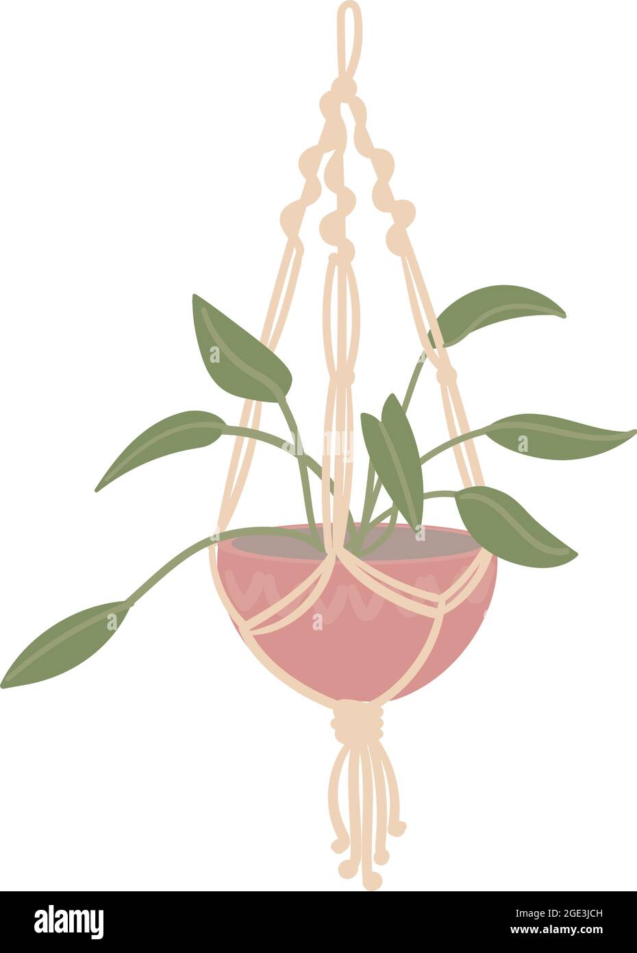 Macrame avec une fleur dans un pot, support suspendu. Décoration boho faite à la main. Isolé, dessiné à la main Illustration de Vecteur