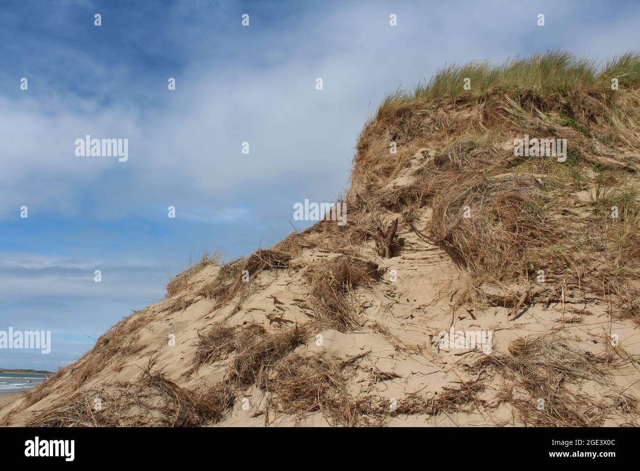 Dunes de sable à Newborough Forest. Banque D'Images
