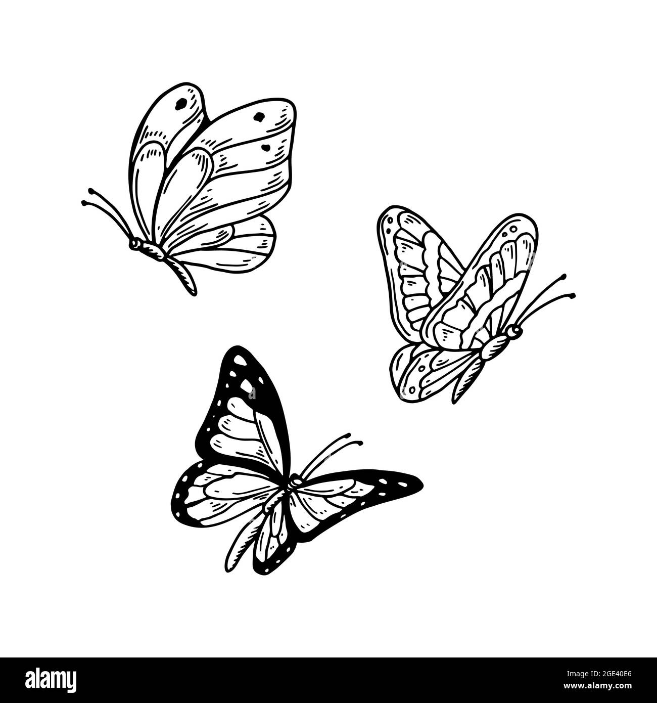 Ensemble de papillons dessinés à la main isolés de blanc. Illustration vectorielle dans le style d'esquisse Illustration de Vecteur