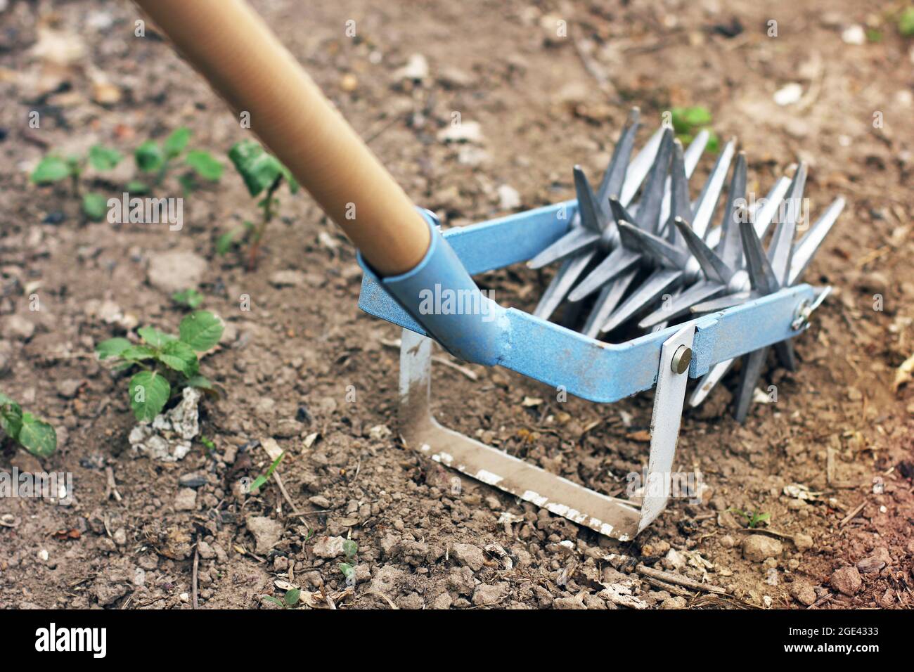 Outils de jardin dans le jardin.Cultivateur manuel Photo Stock - Alamy