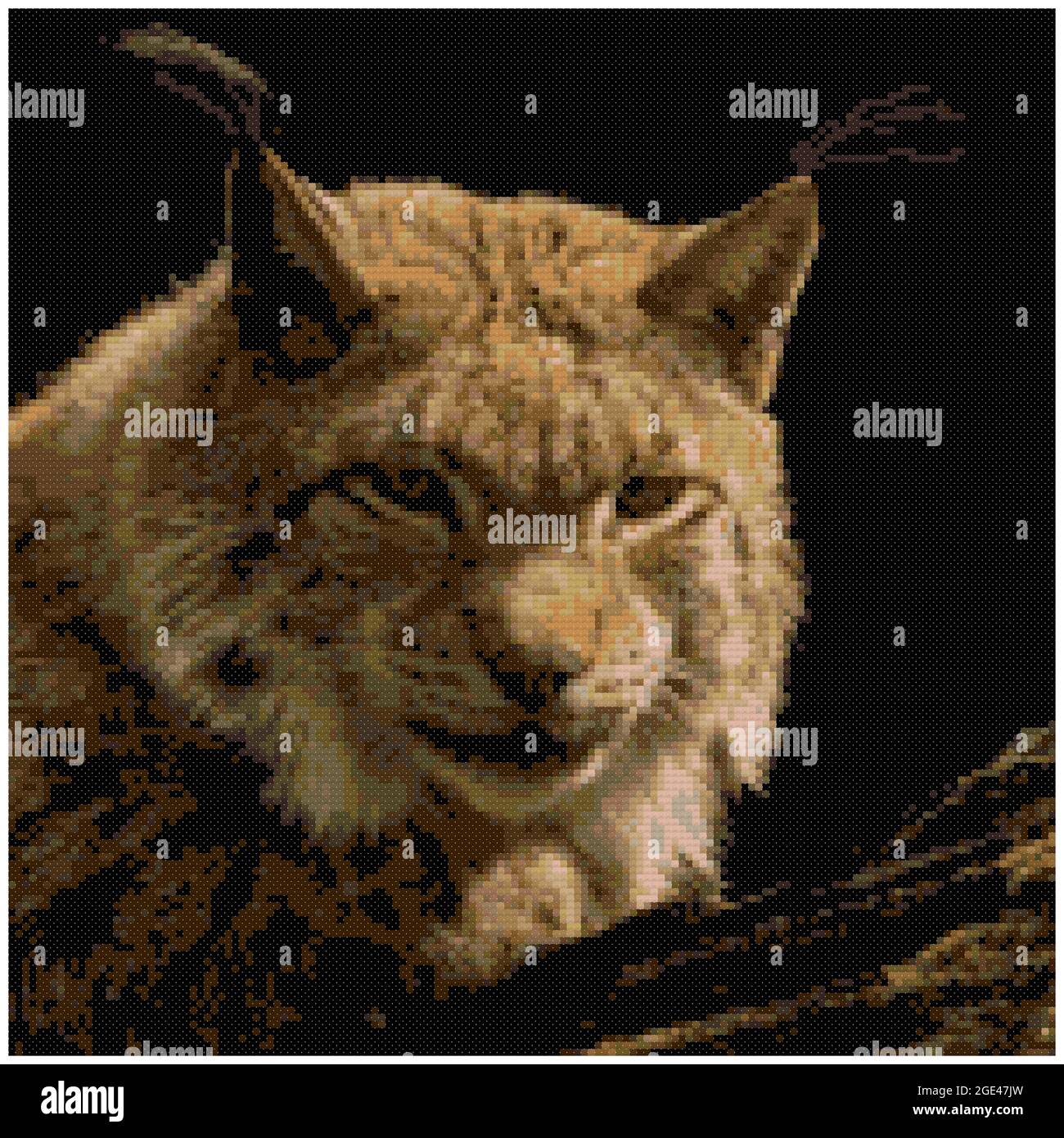 Lynx au repos. Portrait en gros plan d'un Lynx eurasien (Lynx lynx). Gros plan de la tête de chat. Illustration de la broderie à point de croix. Imitation de tricoté Banque D'Images