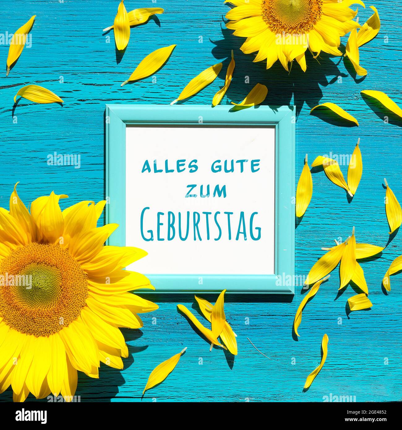 Texte Alles Gute Zum Geburtstag Signifie Joyeux Anniversaire En Allemand Fleurs De Tournesol Jaunes Et Petales Disperses Sur Turquoise Texture Vif Photo Stock Alamy