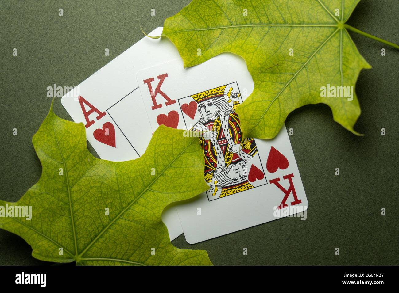 Cartes de poker d'automne jeu de coeur AK avec feuilles vertes Banque D'Images