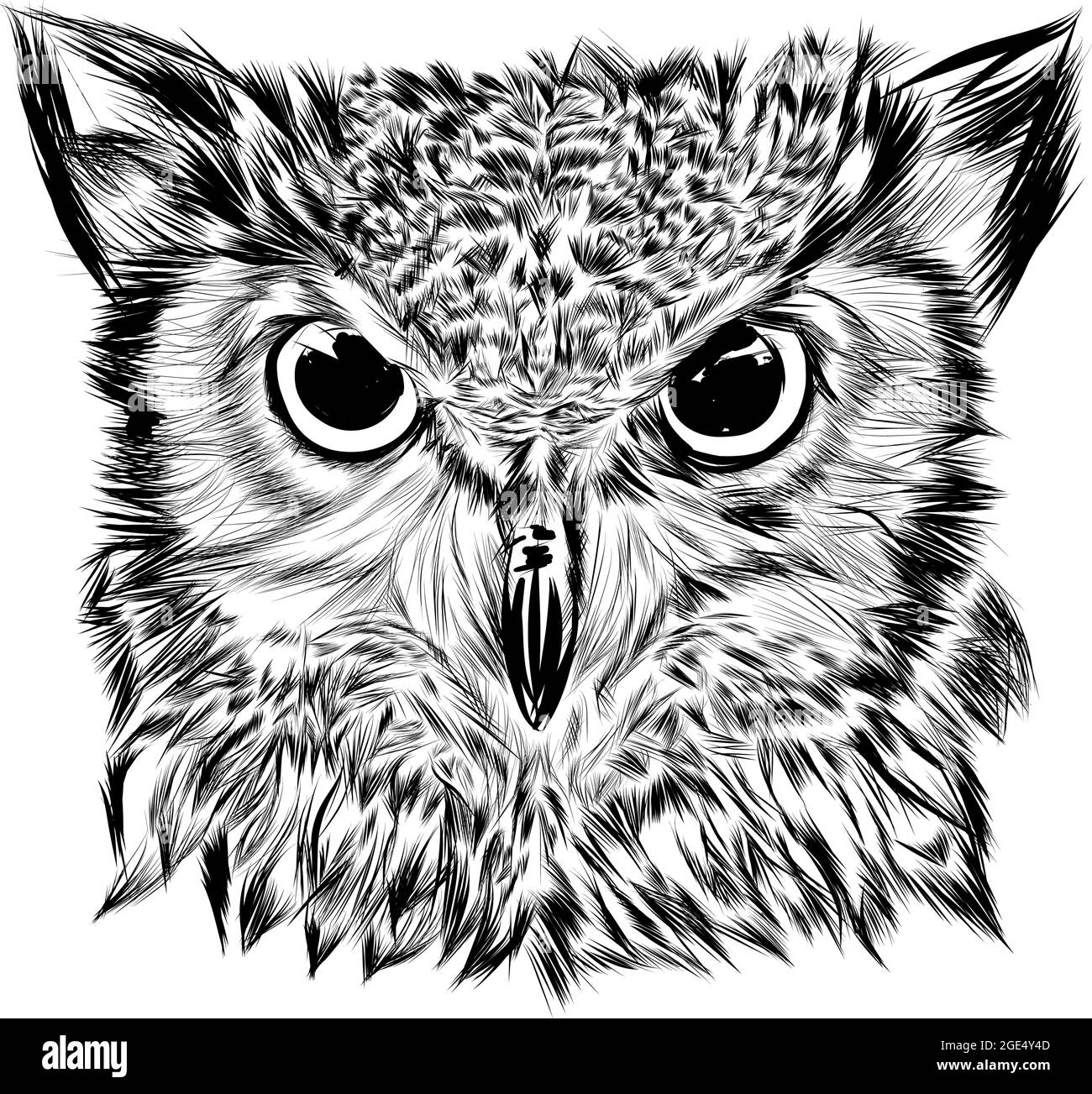 Portrait d'un hibou d'aigle. Illustration vectorielle d'esquisse dessinée à la main Illustration de Vecteur