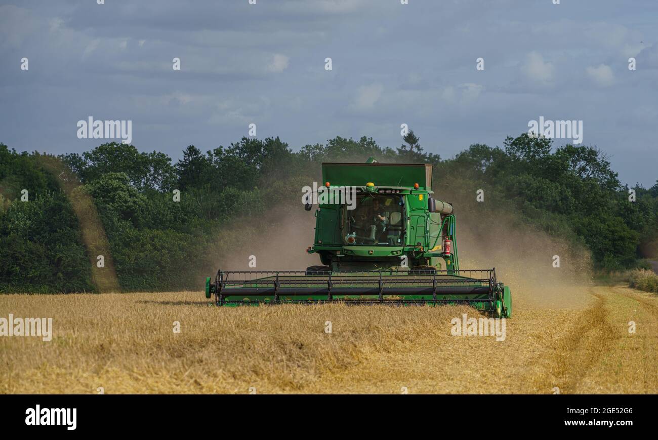 Une moissonneuse-batteuse John Deere Hillmaster T670 en action pour la récolte de blé Banque D'Images