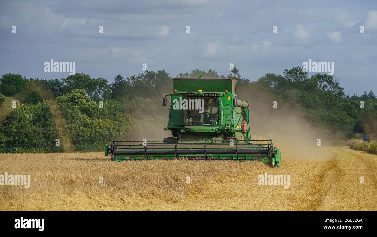 Une moissonneuse-batteuse John Deere Hillmaster T670 en action pour la récolte de blé Banque D'Images