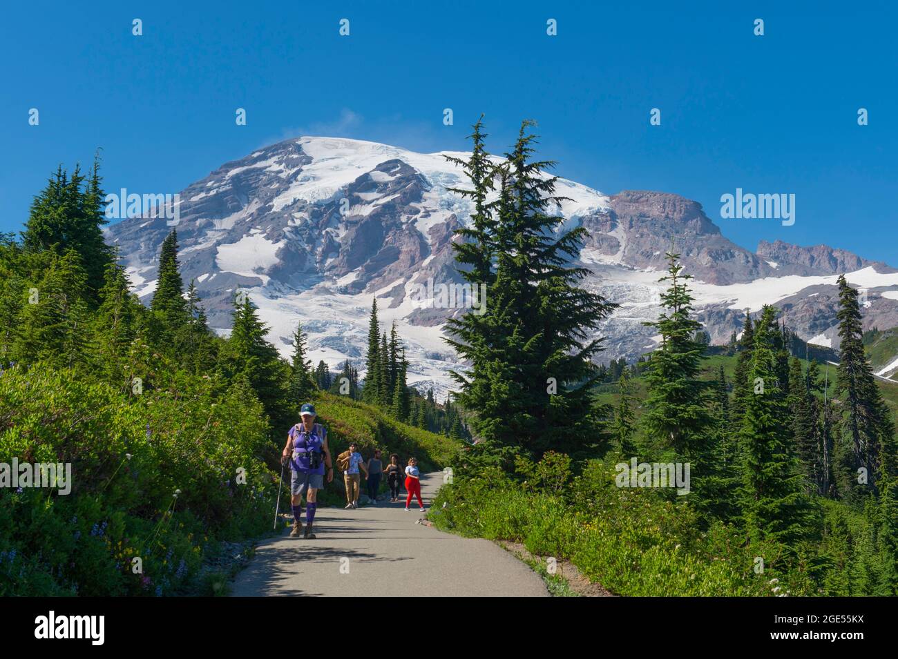 Randonneurs sur la piste Skyline avec le mont Rainier à Paradise à Mt. Parc national de Rainier dans l'État de Washington, États-Unis. Banque D'Images