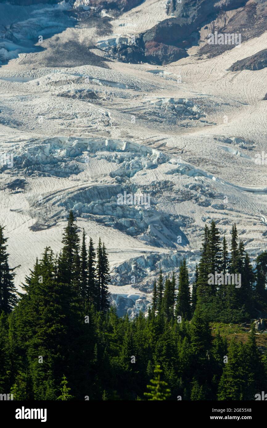 Vue sur le glacier Nisqually depuis le sentier Skyline à Paradise, à Mt. Parc national de Rainier dans l'État de Washington, États-Unis. Banque D'Images