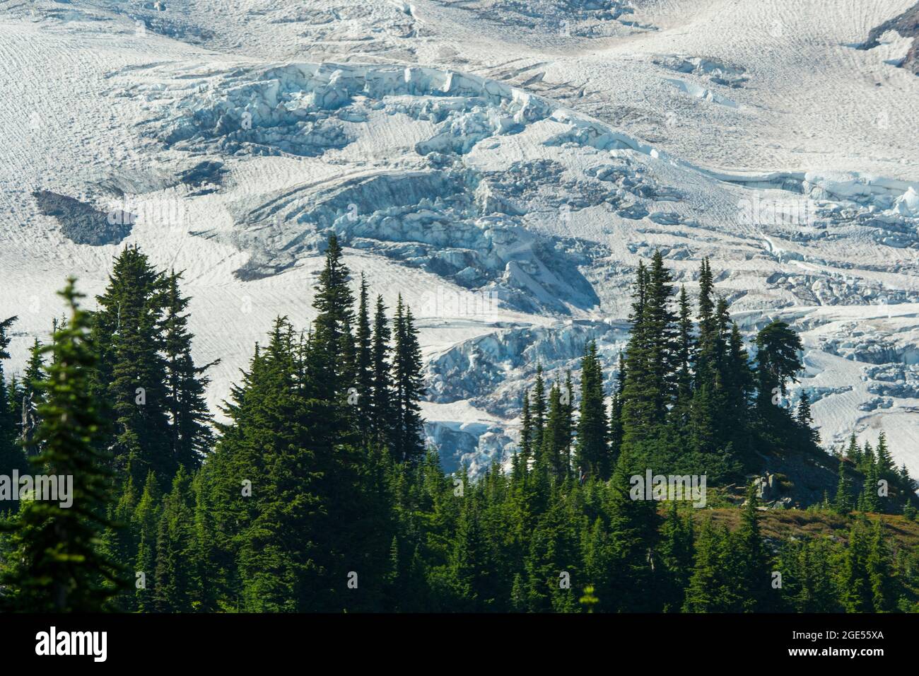 Vue sur le glacier Nisqually depuis le sentier Skyline à Paradise, à Mt. Parc national de Rainier dans l'État de Washington, États-Unis. Banque D'Images