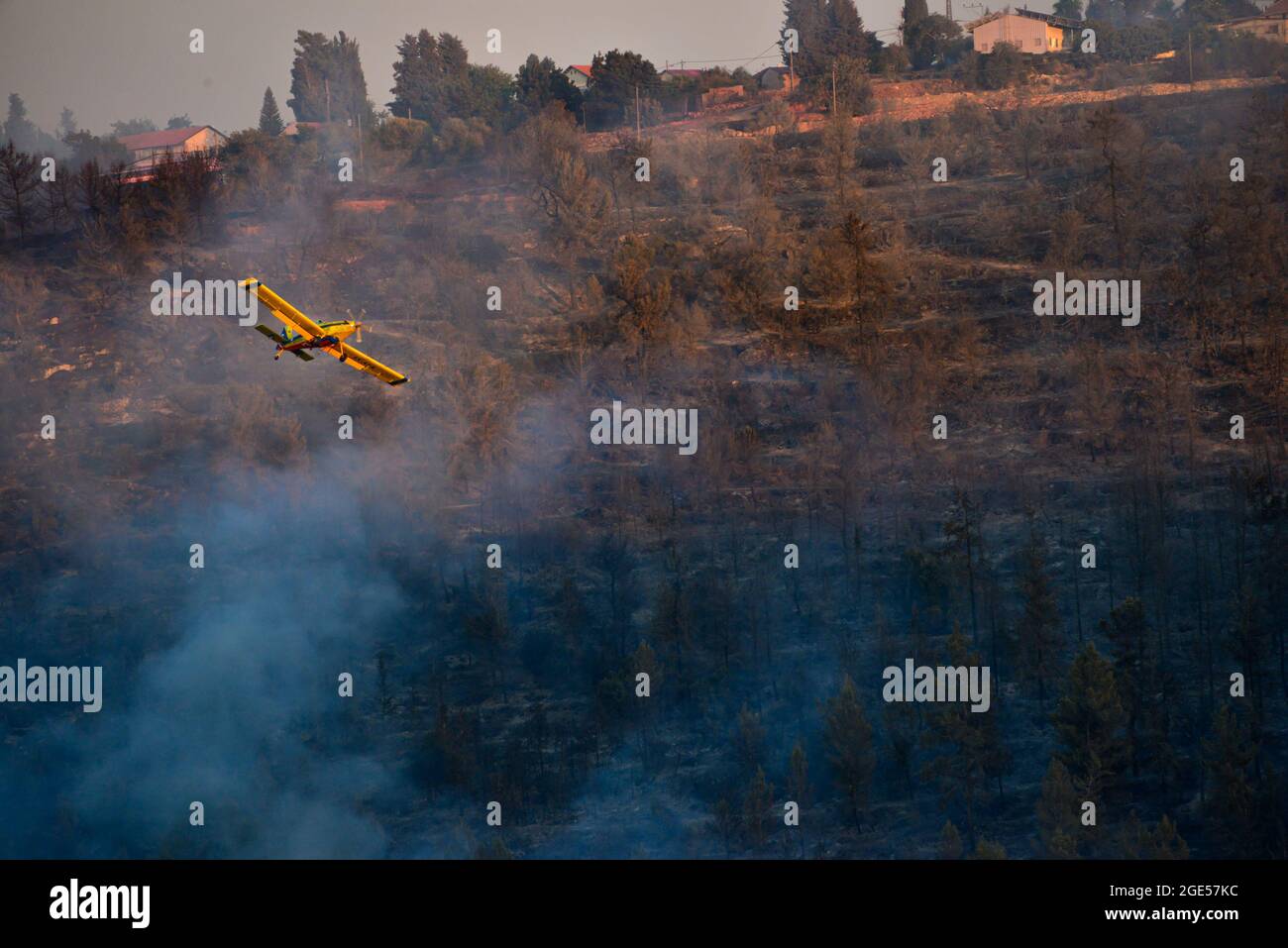GIV’at Ye’arim / Shoresh. Jérusalem-Ouest, 16 août 2021. Les forces de lutte contre les incendies luttent pour éteindre un feu de forêt massif le deuxième jour de sa combustion, les pentes occidentales des montagnes de Jérusalem. Village de GIV’at Ye’arim / Shoresh. Jérusalem-Ouest, 16 août 2021. (Photo de Matan Golan/Alay Live News) crédit: Matan Golan/Alay Live News Banque D'Images