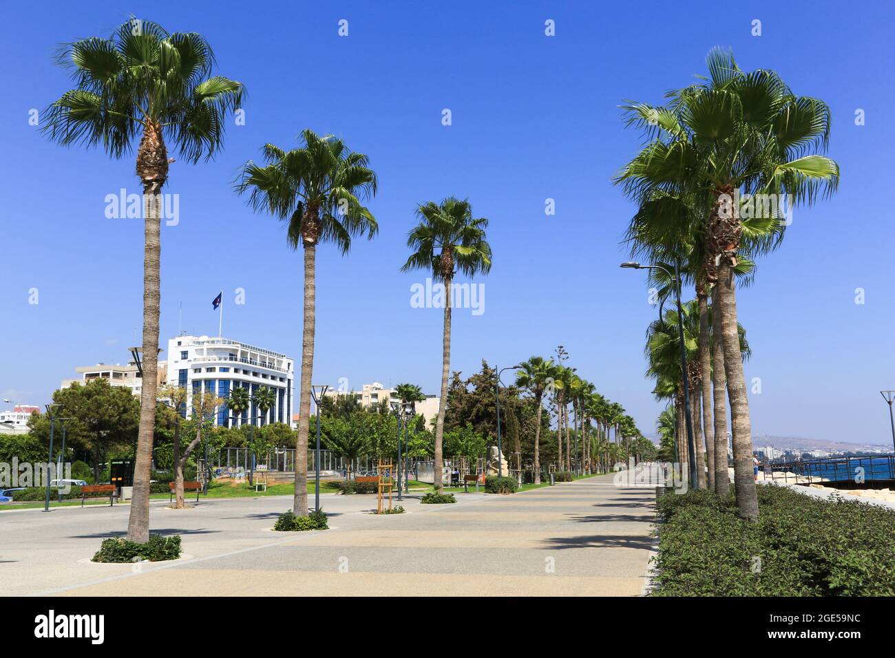 La passerelle piétonne bordée de palmiers du parc de la mer de Molos, Limassol, Chypre Banque D'Images