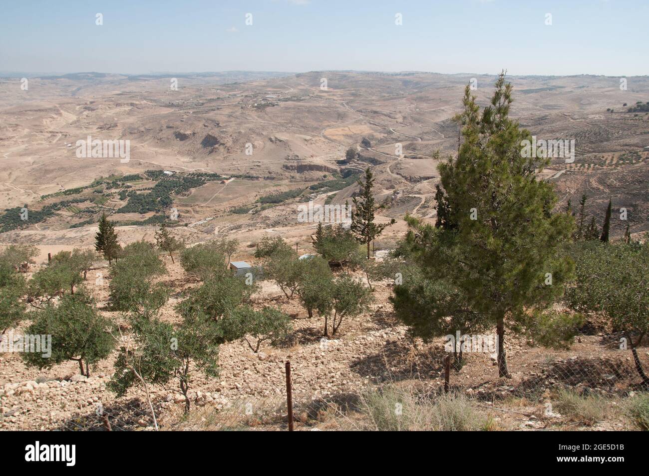 Vue depuis le mont Nebo, la Jordanie et le Moyen-Orient. Peu de végétation, terre sèche. Moïse est censé avoir vu la terre promise d'ici et est mort sur le M. Banque D'Images
