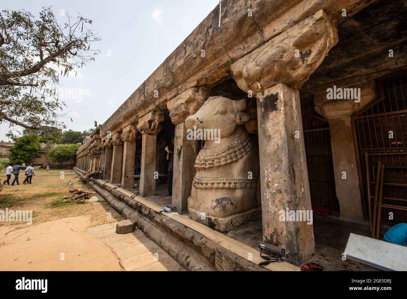 Raja Raja Chola Old Nandi statue dans le temple de Brihadeeswara, Thanjavur Banque D'Images