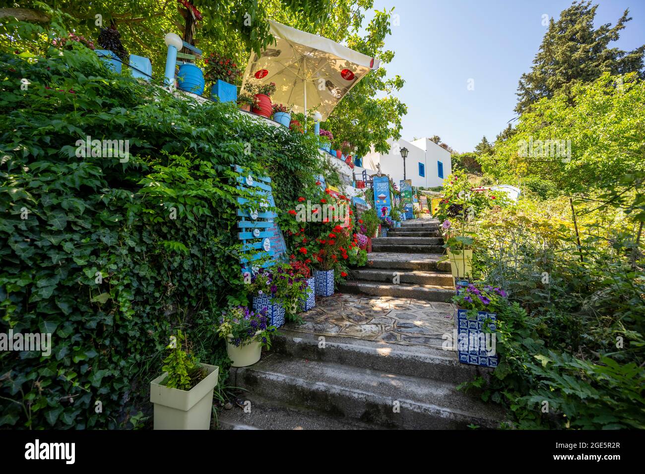 Chemin bordé de fleurs, allée dans le village de Zia, Kos, Dodécanèse, Grèce Banque D'Images