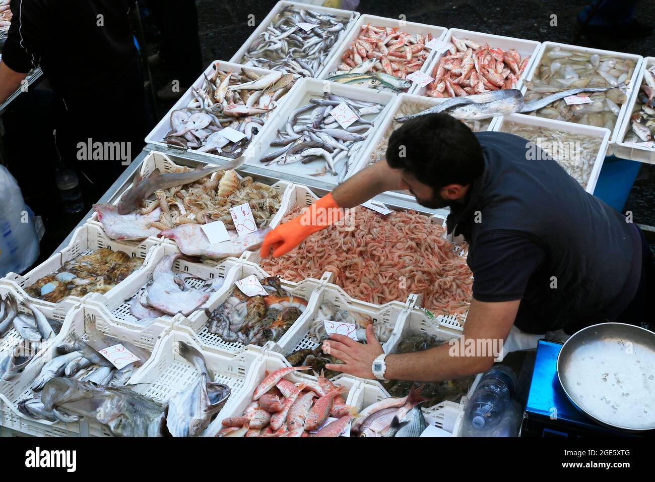Marché aux poissons de Catane, Sicile, Mer méditerranée, Italie Banque D'Images