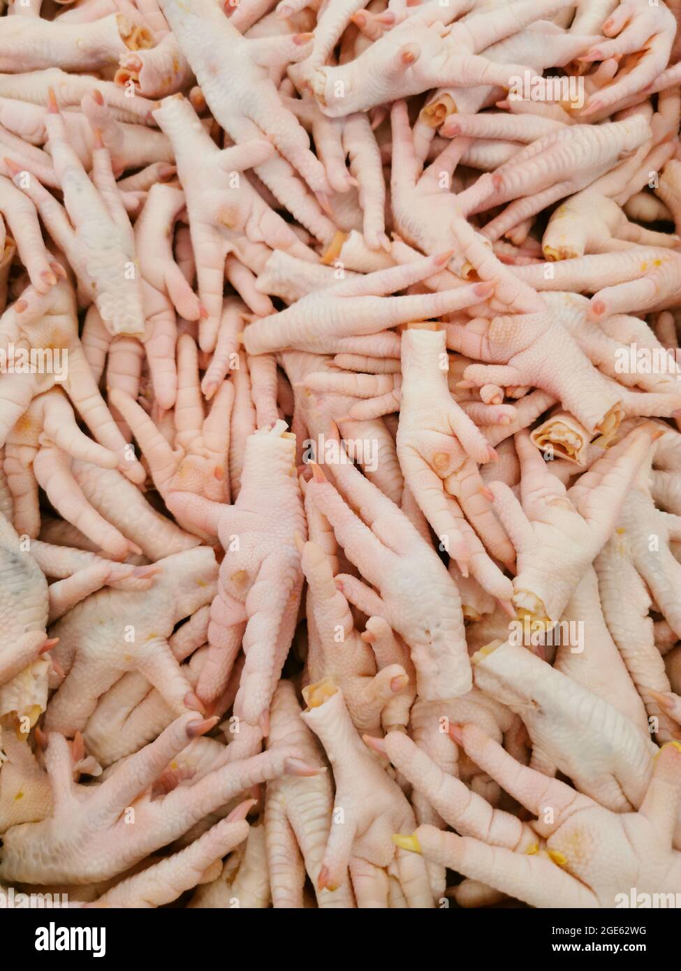 Vue en grand angle des pieds de poulet crus. Banque D'Images