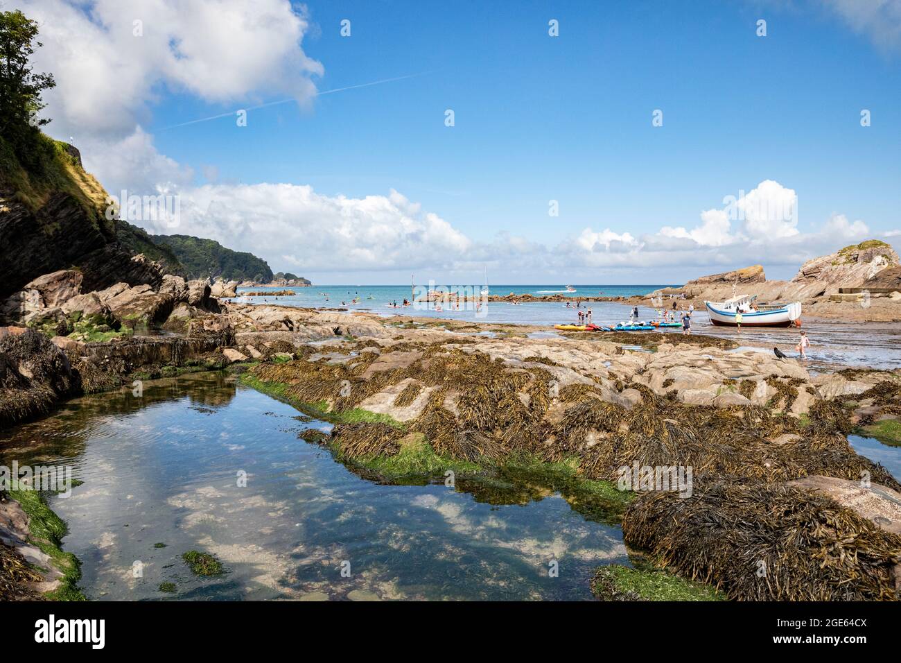 COMBE MARTIN, DEVON, ROYAUME-UNI. Vue sur le hêtre Combe Martin à marée basse. Banque D'Images